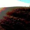 Winter Sun at Trex