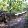 JoeG's   decommissioned log  ride