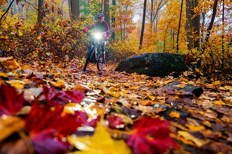 gallery-south-mountain-christina-fall-color-ride-steve-miller